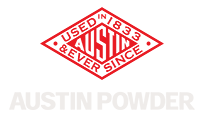Footer Logo