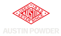 Footer Logo